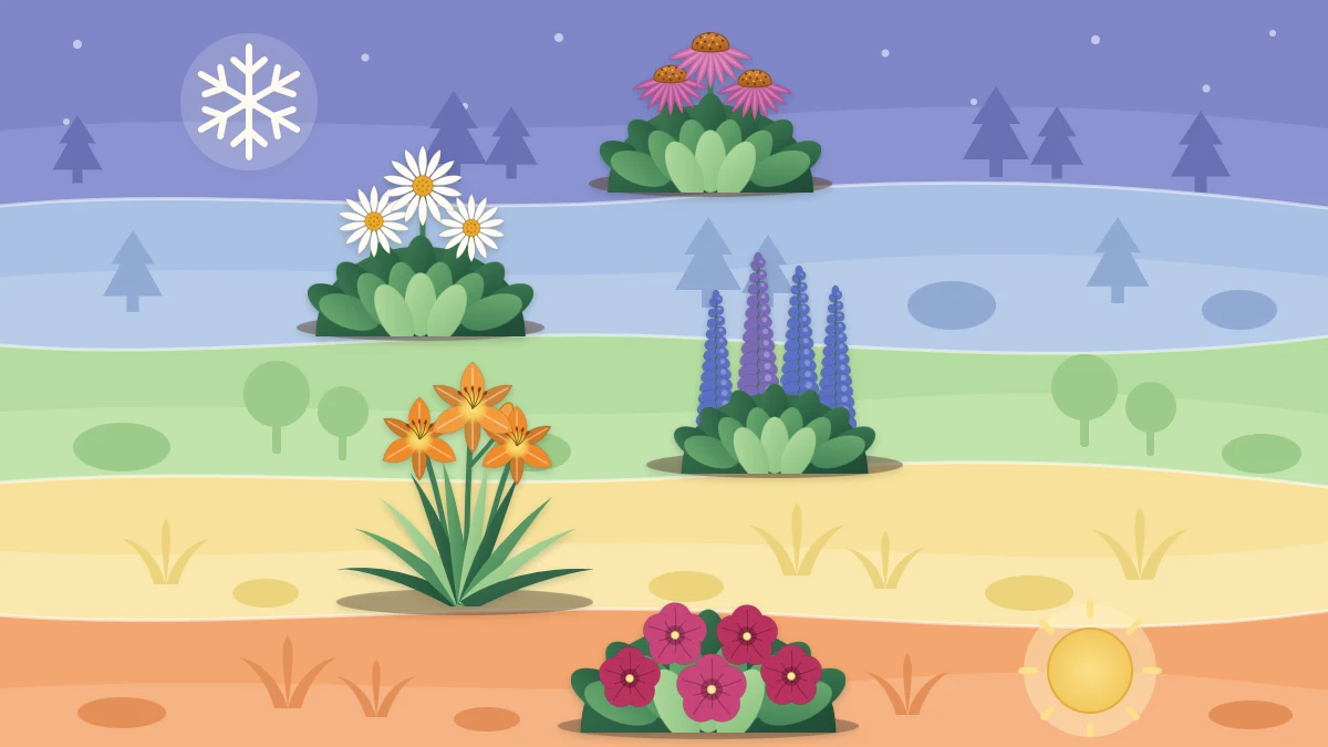 An abstract landscape in bands from cool blue-violet to warm orange with a flower clump in each band, a snowflake and a sun