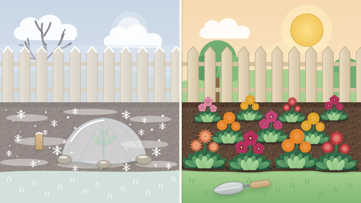 One garden bed shown twice: frosty bare soil with a covered seedling under a cold sky, then freshly planted flowers under warm sun